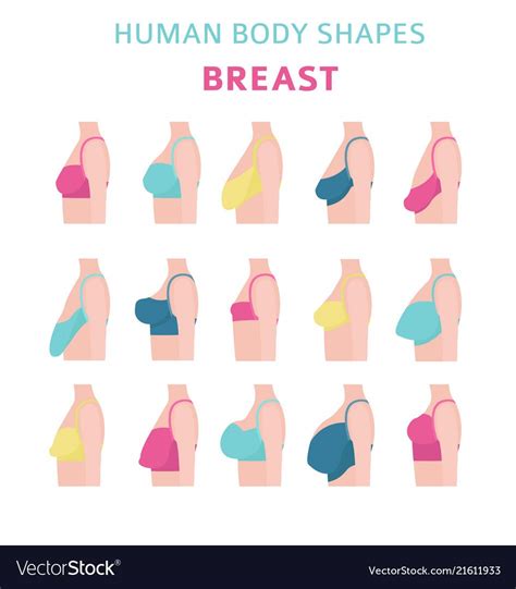 little tities|The 12 Different Breast Shapes and Types .